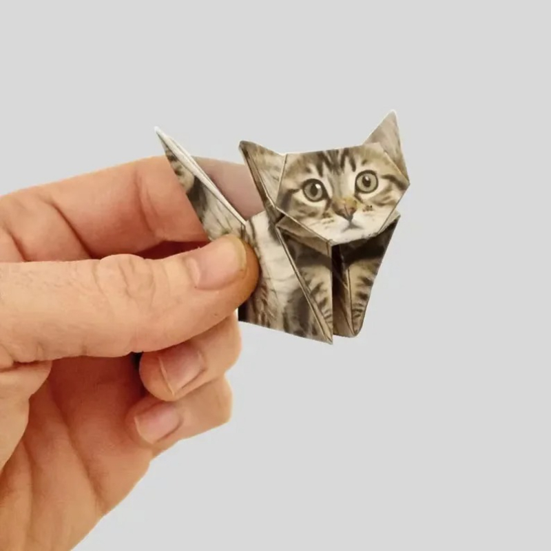 Creative DIY Paper Cats 50 She - Art Craft Dinosaur ulasan dan harga