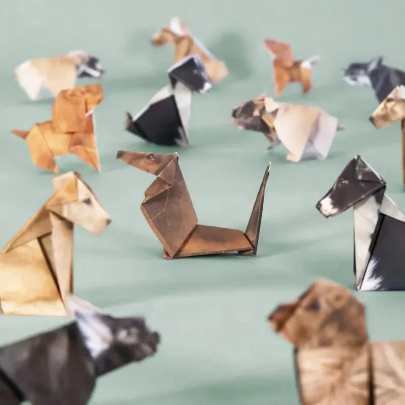 Creative DIY Paper Cats 50 She - Art Craft Dinosaur ulasan dan harga