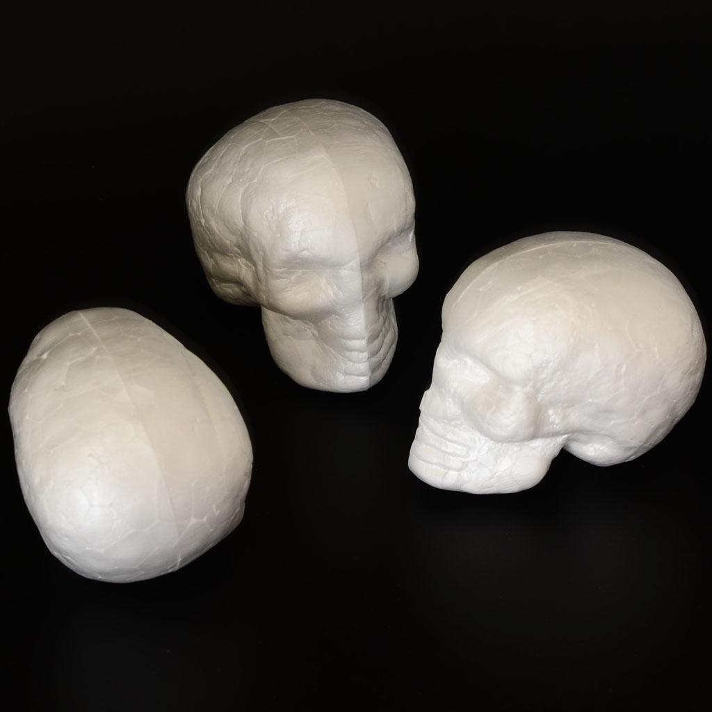 Moldable Craft Foam Skull Shap - Art Craft For Kindergarten ulasan dan harga