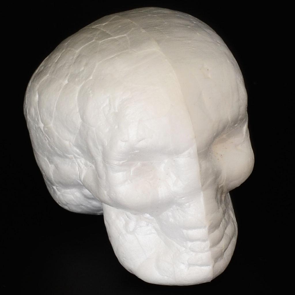 Moldable Craft Foam Skull Shap - Art Craft For Kindergarten ulasan dan harga